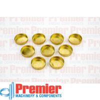 Premier Welch plug kit Thumbnail