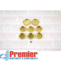 Premier Welch plug kit Thumbnail