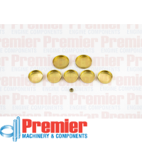 Premier Welch plug kit Thumbnail