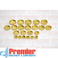 Premier Welch plug kit Thumbnail