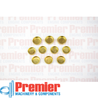 Premier Welch plug kit Thumbnail