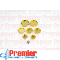 Premier Welch plug kit Thumbnail