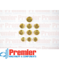 Premier Welch plug kit Thumbnail