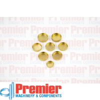 Premier Welch plug kit Thumbnail