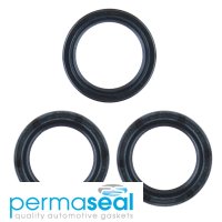 Permaseal Timing Seal Kit Thumbnail