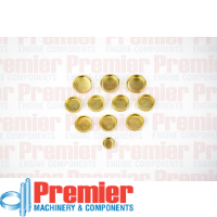 Premier Welch plug kit Thumbnail