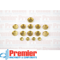 Premier Welch plug kit Thumbnail