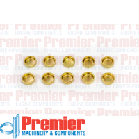 Premier Welch plug Thumbnail