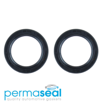 Permaseal Timing Seal Kit Thumbnail