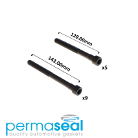 Permaseal Cylinder Head Bolt Set Thumbnail