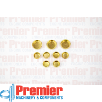 Premier Welch plug kit Thumbnail