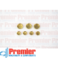 Premier Welch plug kit Thumbnail