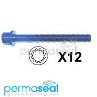 Permaseal Cylinder Head Bolt Set Thumbnail