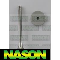 Nason Valve Inlet Thumbnail