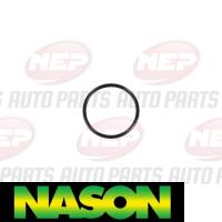 Nason Water Pump Thumbnail