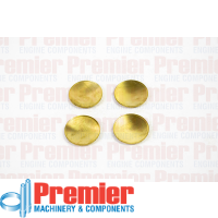 Premier Welch plug kit Thumbnail