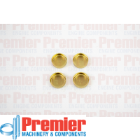 Premier Welch plug kit Thumbnail