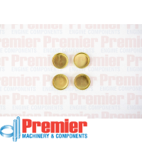 Premier Welch plug kit Thumbnail