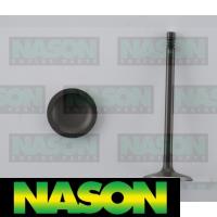 Nason Valve Inlet Thumbnail