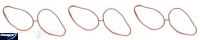 Durapro Fuel Injection Plenum Gasket Thumbnail