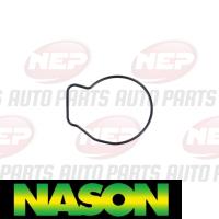 Nason Water Pump Thumbnail