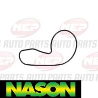 Nason Water pump Thumbnail