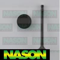 Nason Valve Inlet Thumbnail
