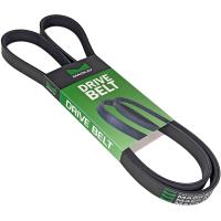Mackay Drive Belt - Multi-Ribbed Belt for Automotive Applications Thumbnail