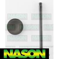 Nason Valve Inlet Thumbnail