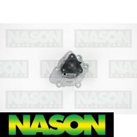 Nason Water Pump Thumbnail
