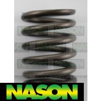 Nason Valve Spring Thumbnail