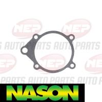 Nason Water Pump Thumbnail