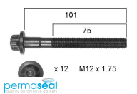 Permaseal Cylinder Head Bolt Set Thumbnail