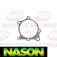 Nason Water Pump Thumbnail