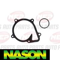 Nason Water Pump Thumbnail