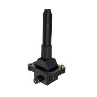 Swan Ignition Coil Thumbnail