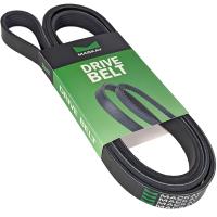 Mackay Drive Belt - Multi-Ribbed Belt for Automotive Applications Thumbnail