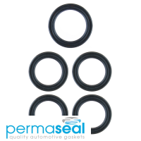 Permaseal Timing Seal Kit Thumbnail