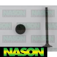 Nason Valve Inlet Thumbnail