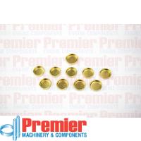 Premier Welch plug kit Thumbnail