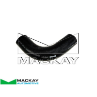 Mackay Radiator Lower Hose Thumbnail