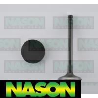 Nason Valve Inlet Thumbnail