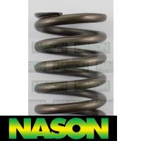 Nason Valve Spring Thumbnail