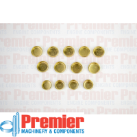 Premier Welch plug kit Thumbnail