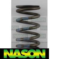 Nason Valve Spring Thumbnail
