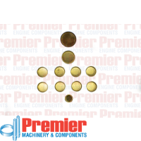 Premier Welch plug kit Thumbnail
