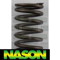 Nason Valve Spring Thumbnail