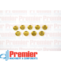 Premier Welch plug kit Thumbnail
