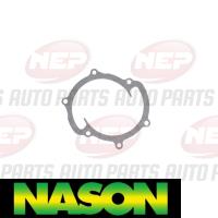 Nason Water Pump Thumbnail