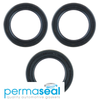 Permaseal Timing Seal Kit Thumbnail